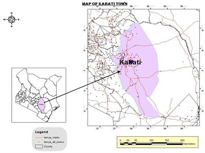 Zai Technology and Integrated Nutrient Management for Improved Soil Fertility and Increased Sorghum Yields in Kitui County, Kenya